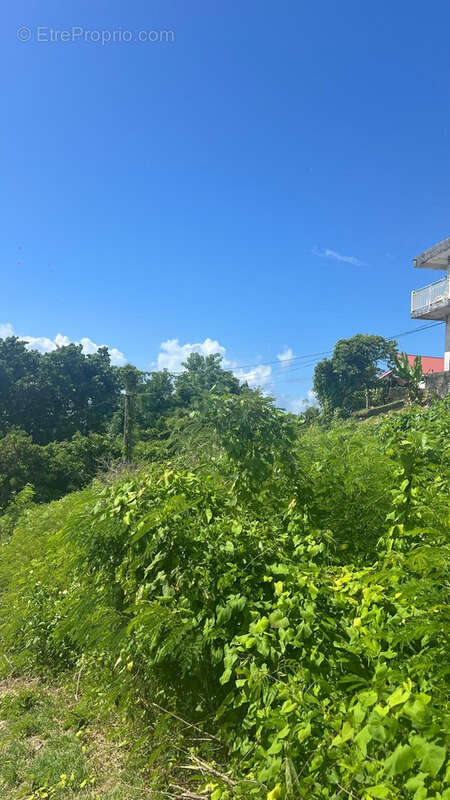 Terrain à LE GOSIER