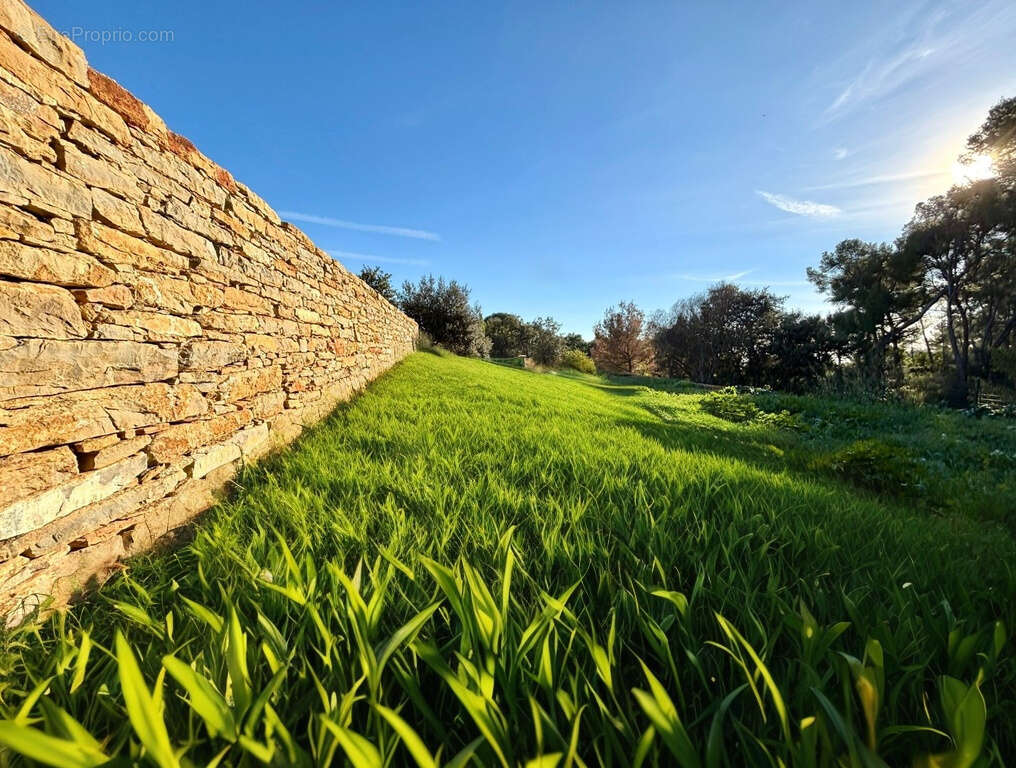 Maison à SAINT-CYR-SUR-MER
