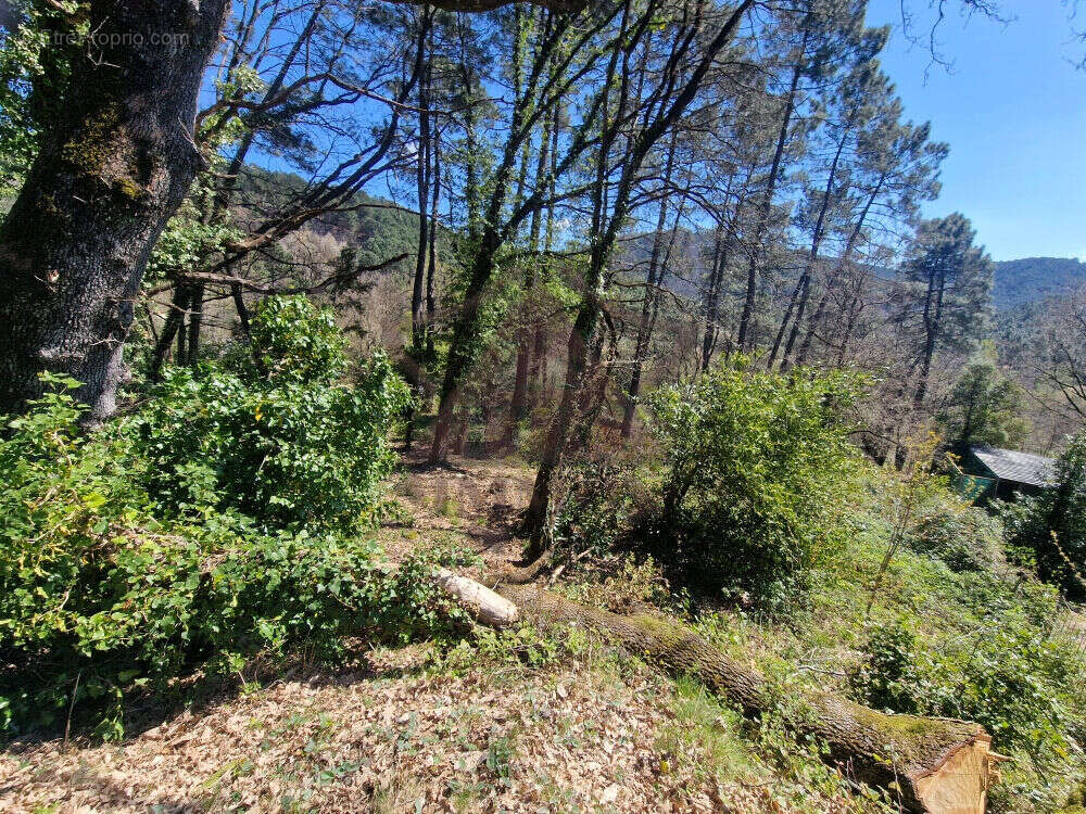 Terrain à PORTES
