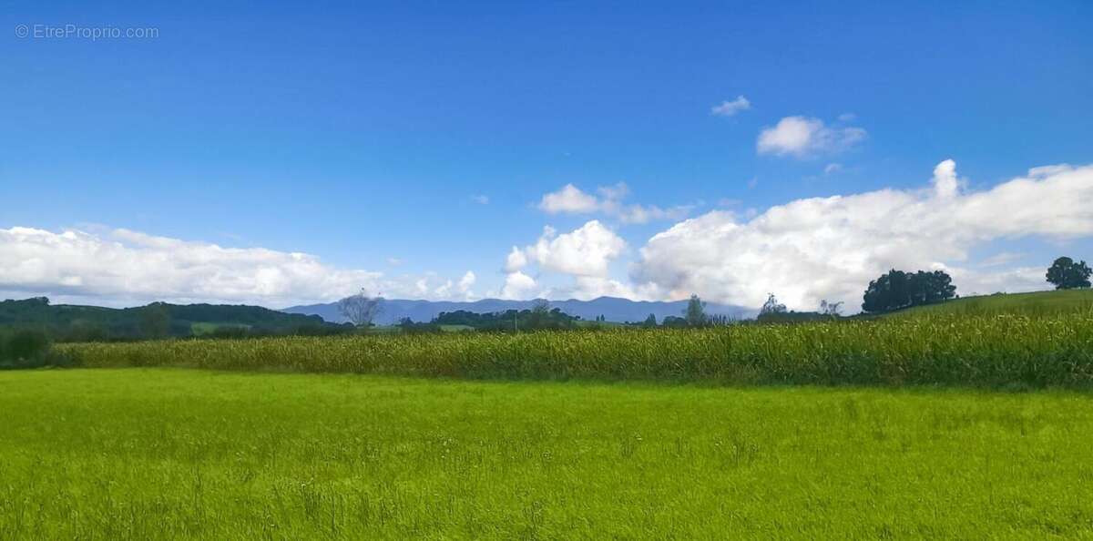 Terrain constructible 11000 m2 - photo 7