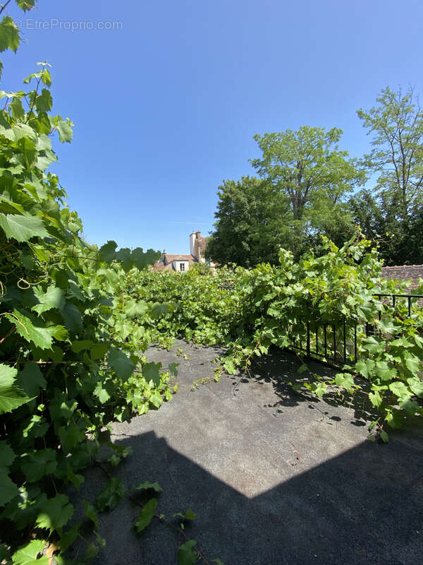 Maison à FONTAINEBLEAU
