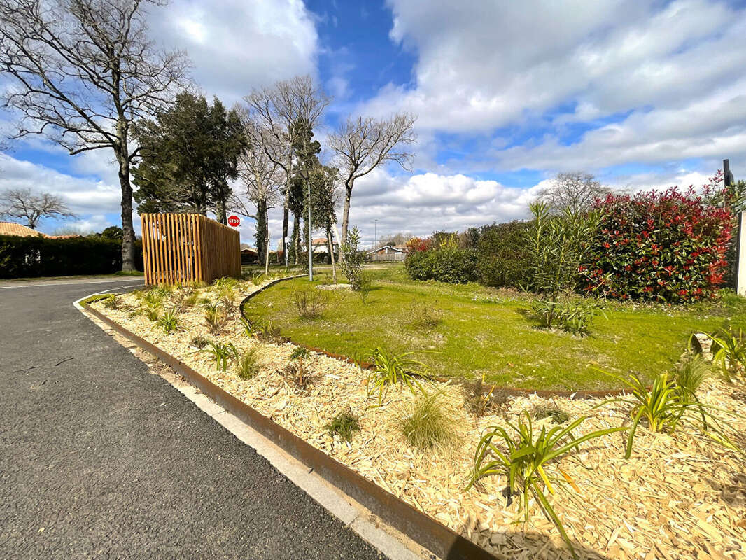 Terrain à SEIGNOSSE