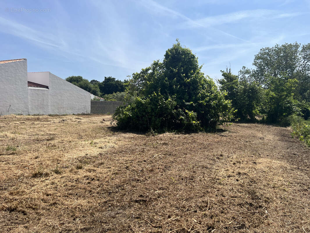 Terrain à L&#039;ILE-D&#039;YEU