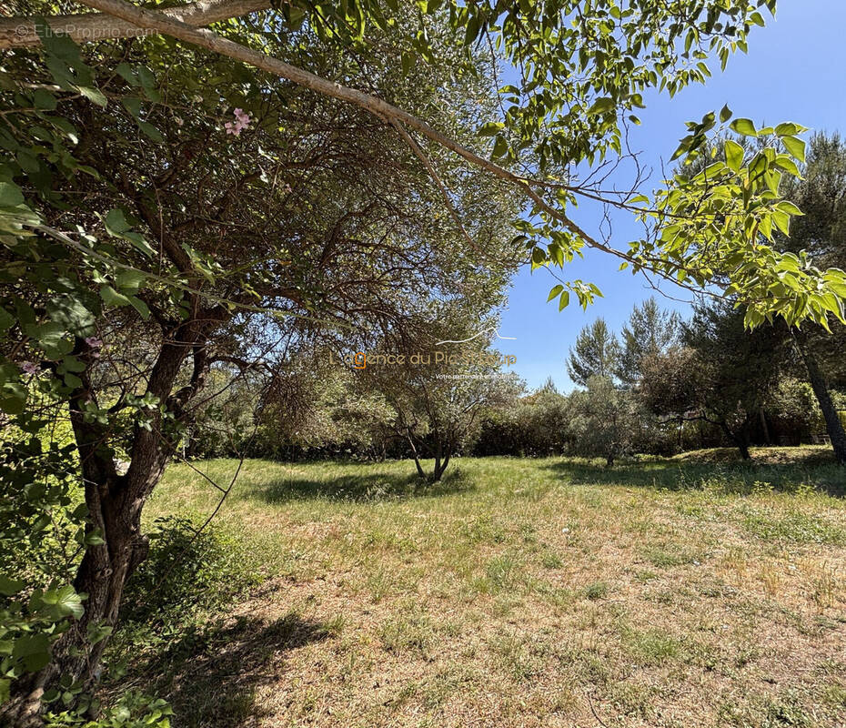 Terrain à SAINT-GELY-DU-FESC