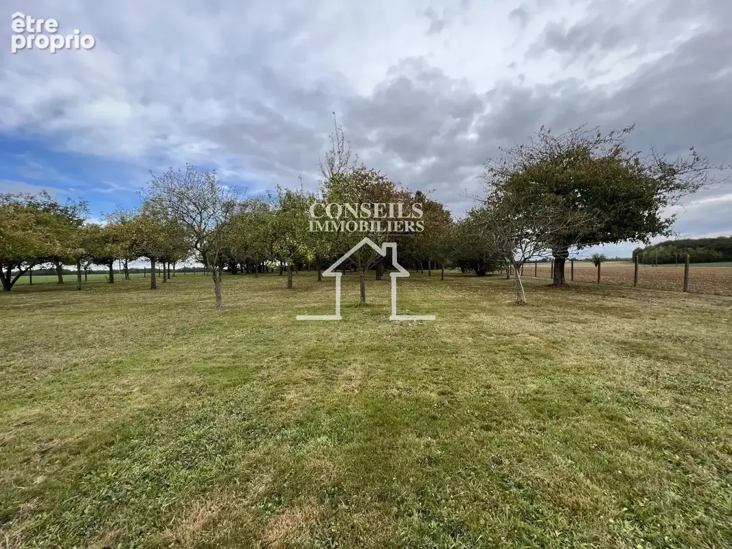 Secteur saint julien du sault - photo 2