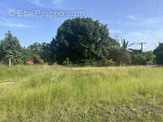 Terrain à PETIT-BOURG