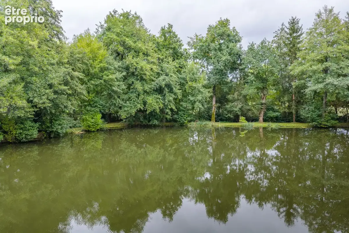 Terrain 4 215 m² à vendre à Fougerolles (36230) - photo 3