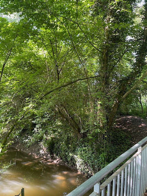 Terrain à SEBOURG
