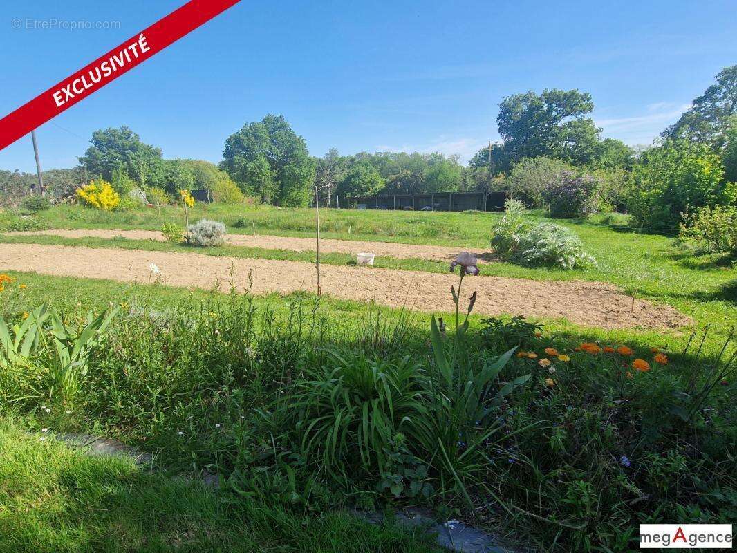 Coup de cœur – propriété nature & animaux avec étang et verger sur 2 hectares - photo 12