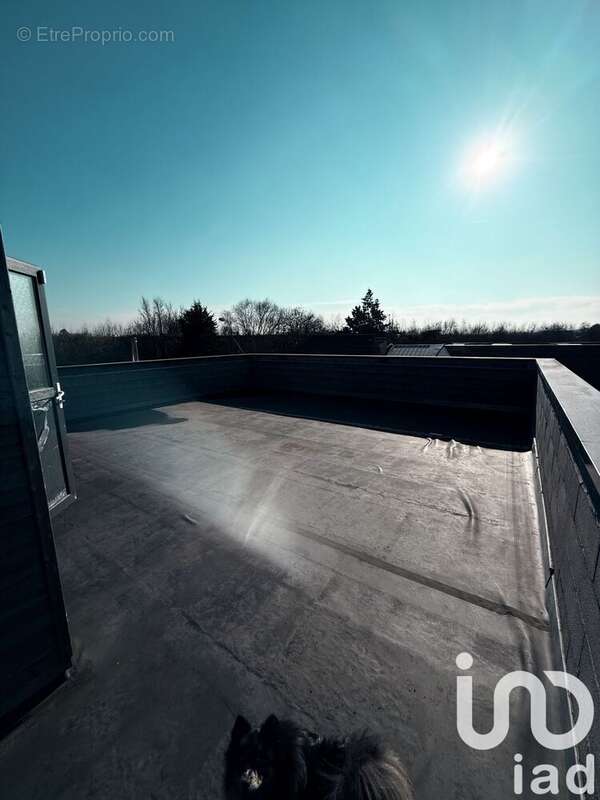 Photo 4 - Maison à MONTIGNY-EN-GOHELLE