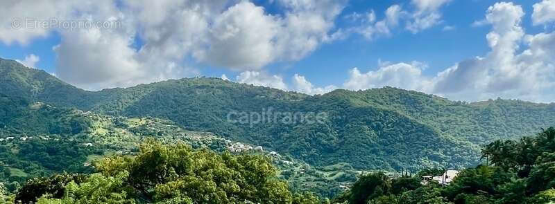 Maison à LE MORNE-VERT