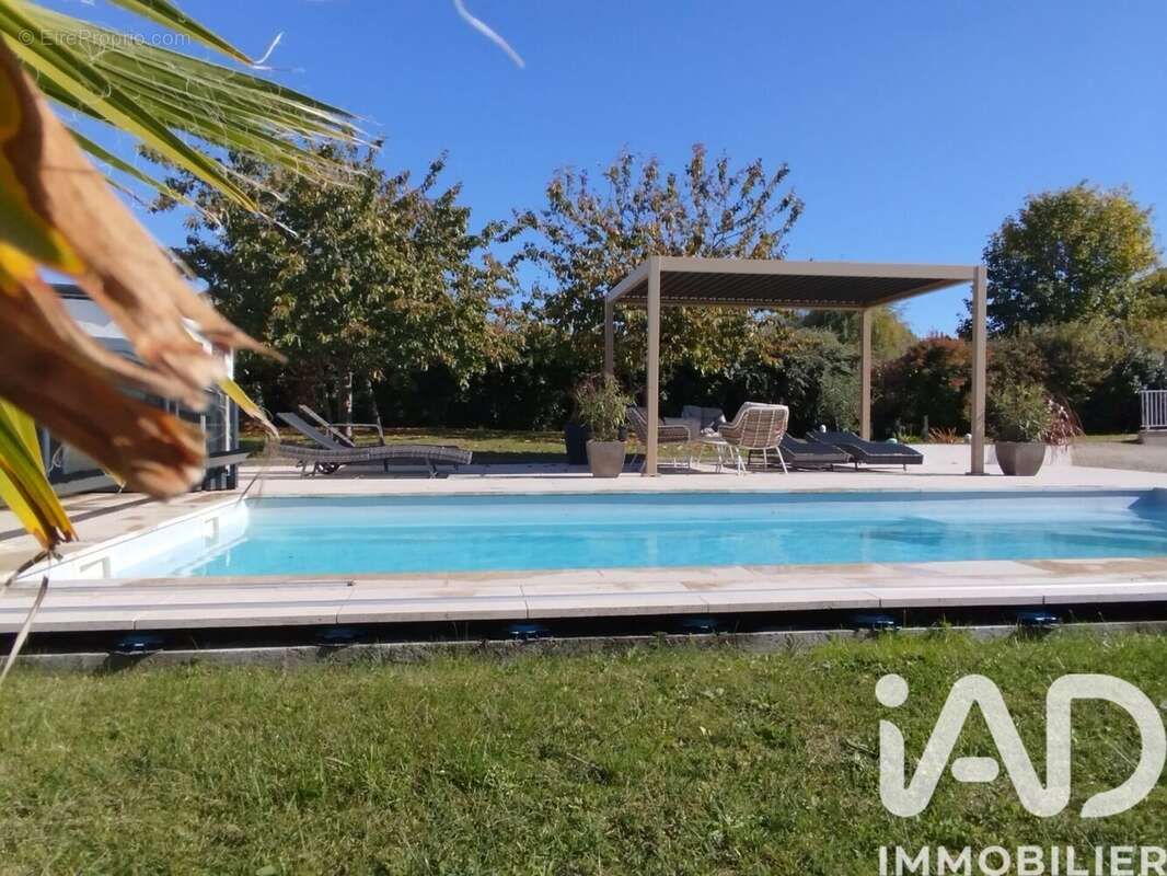 Photo 4 - Maison à CHINON