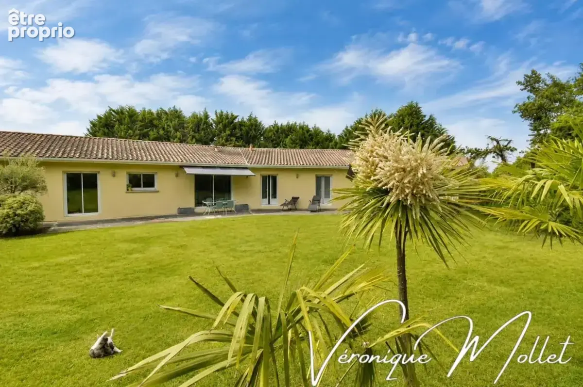 Elegante contemporaine de plain-pied baignée de lumiere - photo 2