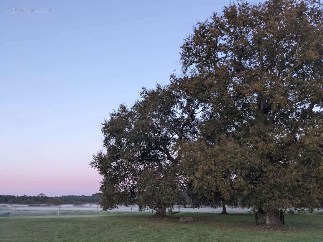 Maison à GAILLAN-EN-MEDOC
