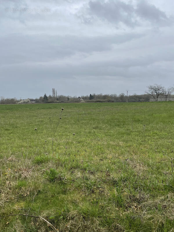 Terrain à BEAULIEU-SUR-LOIRE
