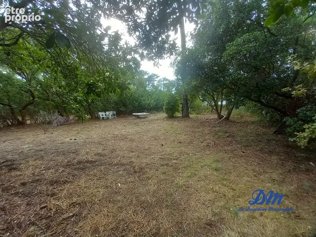 Maison 5 pièces 200 m² à vendre à Lege-Cap-Ferret (33950) - photo 3