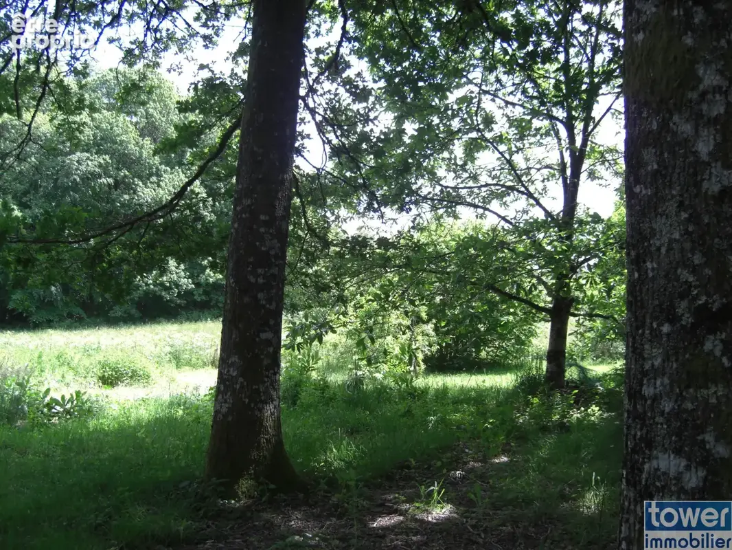 Perigord terrain constructible - photo 2