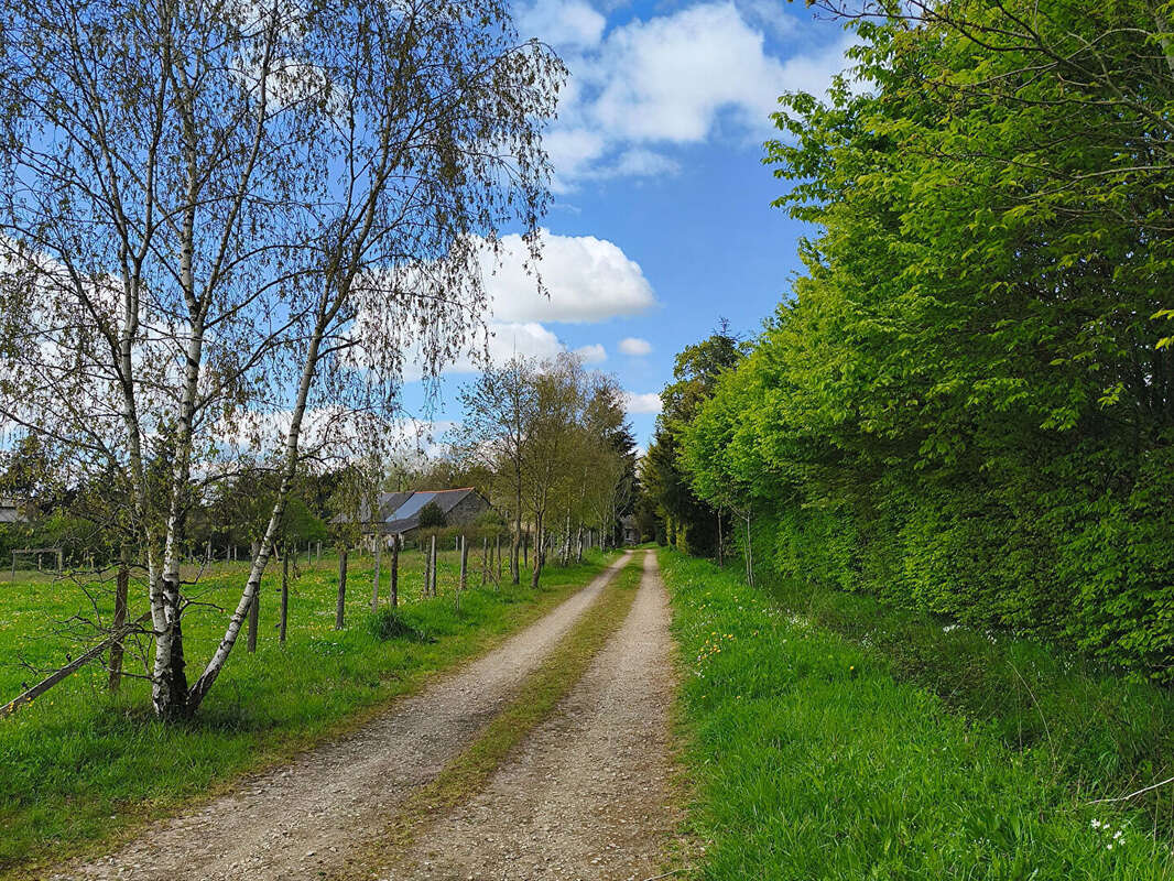 Maison à BAIN-DE-BRETAGNE