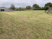 Terrain à ARTHON-EN-RETZ