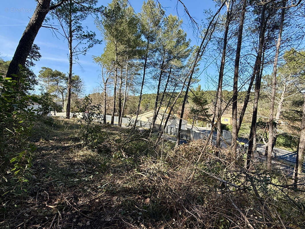 Terrain à LA ROQUE-D'ANTHERON
