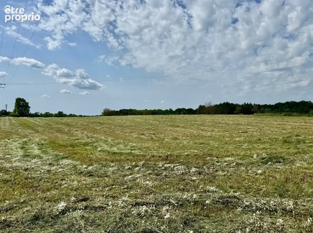 Photo Terrain à Champagnac-De-Belair au prix de 38 000€