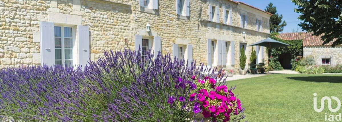 Maison 494 m² à La Gripperie-Saint-Symphorien  - photo 2