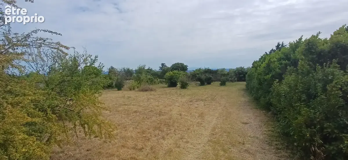 Beau Terrain surface rare - photo 2