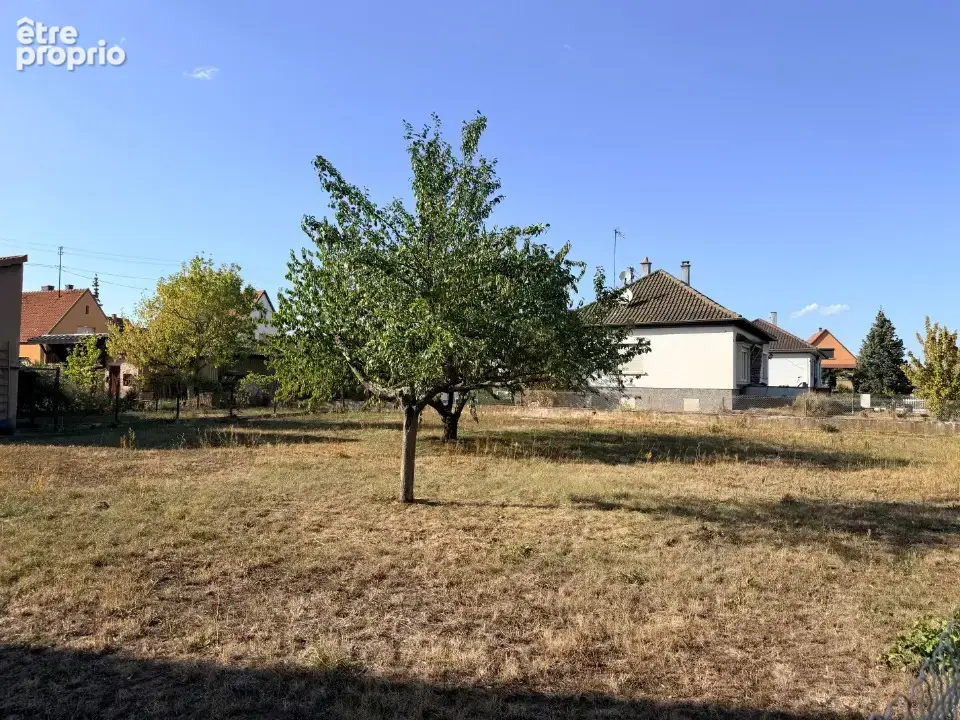 Terrain 1 000 m² à vendre à Selestat (67600) - photo 1