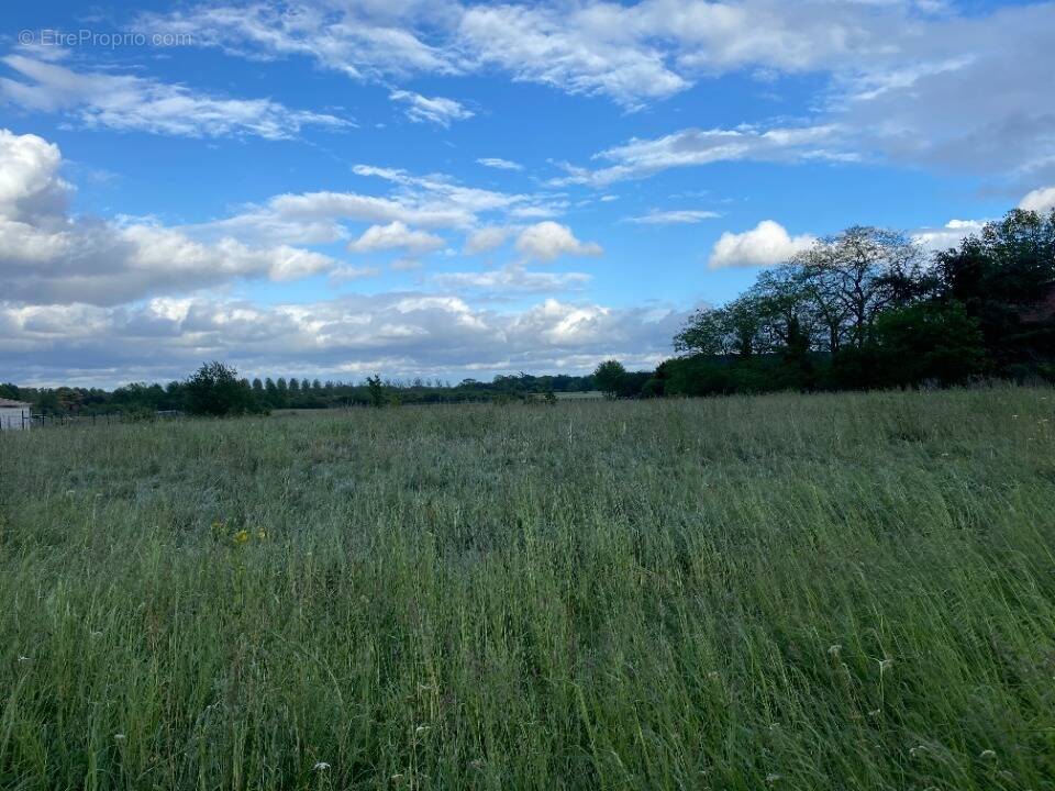 Terrain à HIERS-BROUAGE
