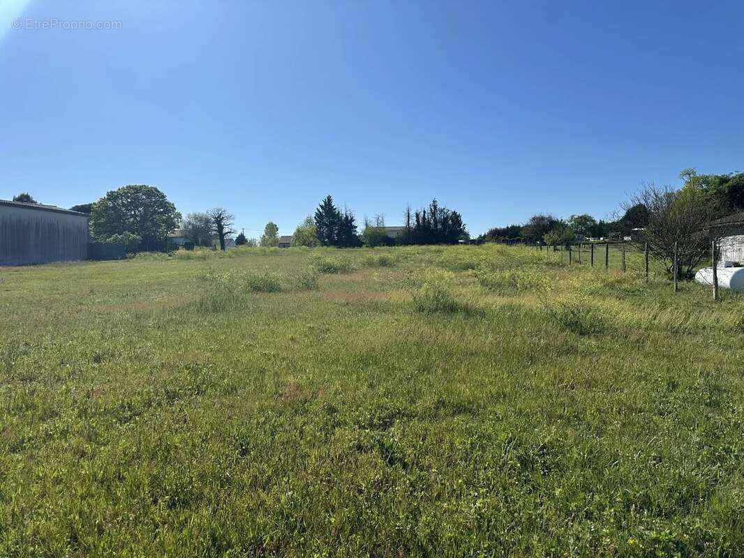 Terrain à REIGNAC