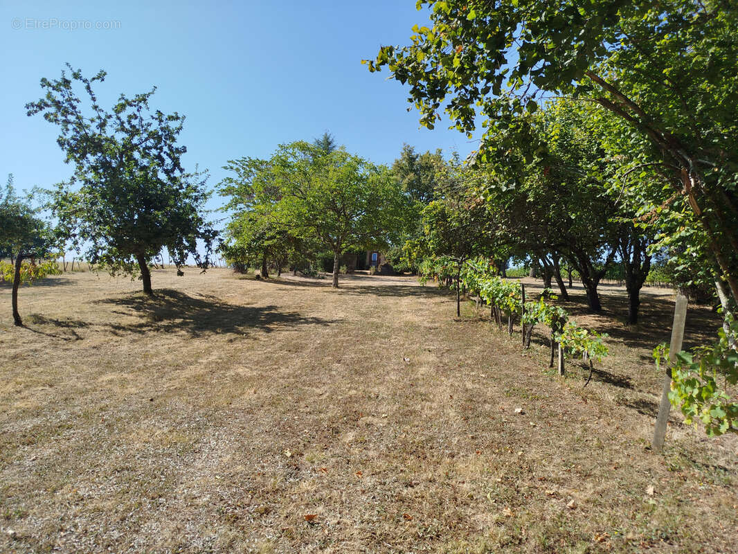 Charmante Maison construite en 79 avec Vue Panoramique et Grand Terrain de 4121 m2 - photo 25
