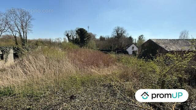 Terrain à BUIRE-COURCELLES