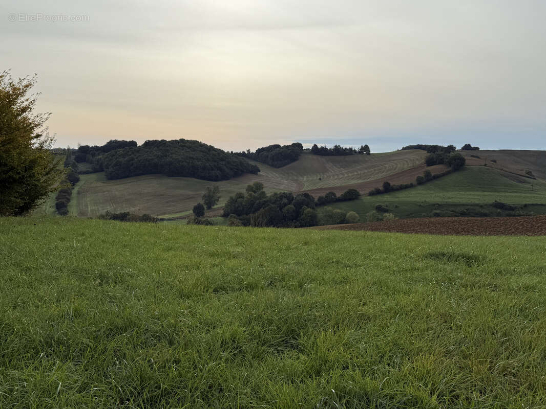 Terrain à LE FOUSSERET