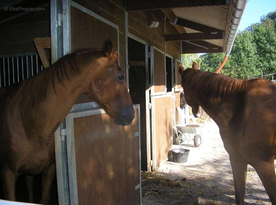 Photo 5 - Maison à SAINT-DIDIER-DE-LA-TOUR