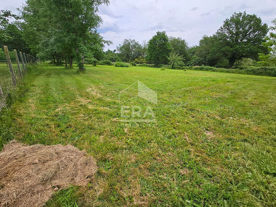 Terrain 3853m² à moulin-neuf - photo 2