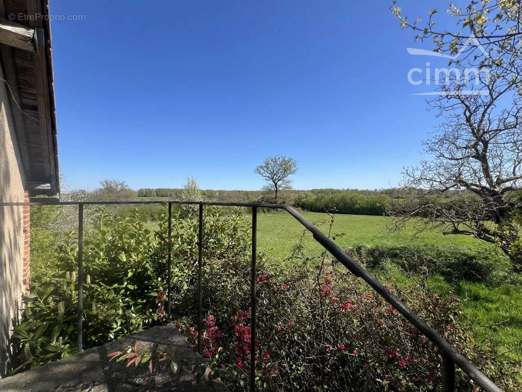 Maison à THIEL-SUR-ACOLIN