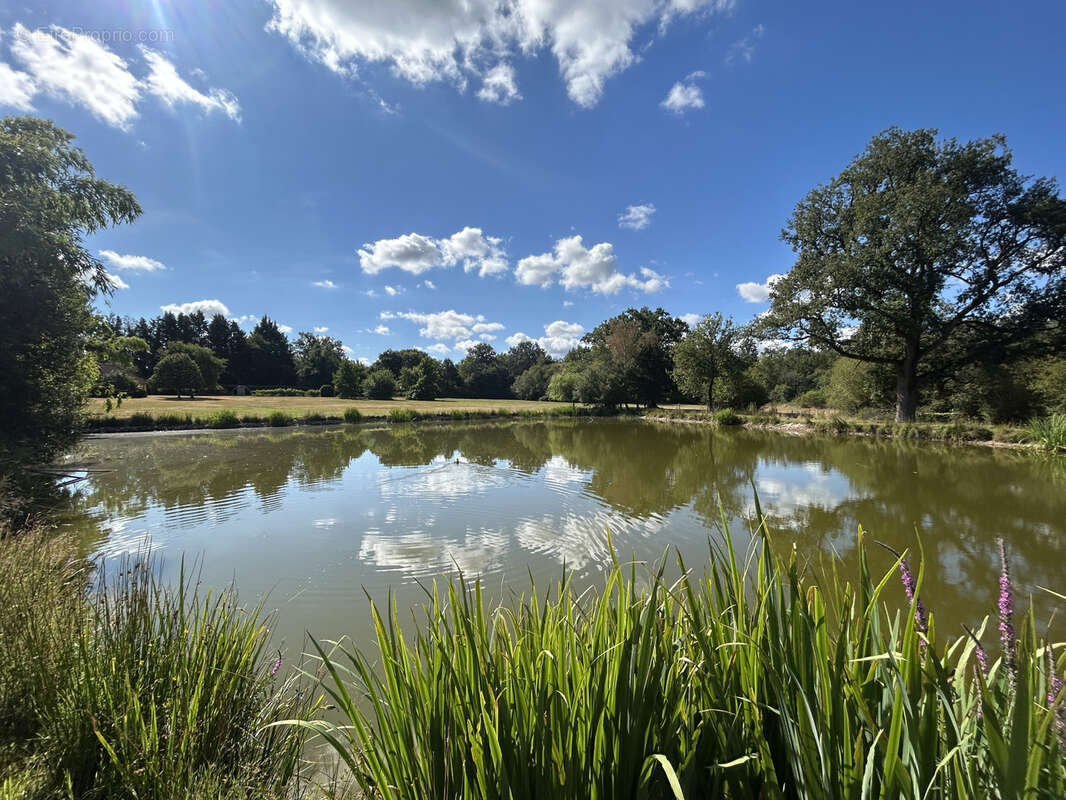 Propriété 2,2 ha avec étang, ancien corps de ferme, parc aboré, prairie - photo 18
