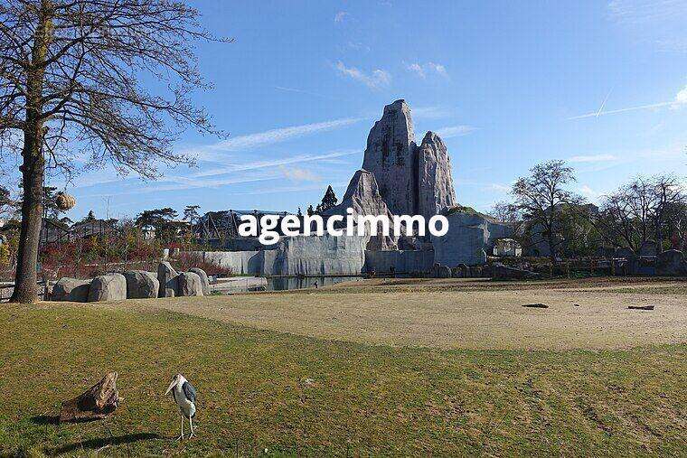 Zoo à 5 minutes - Appartement à SAINT-MANDE