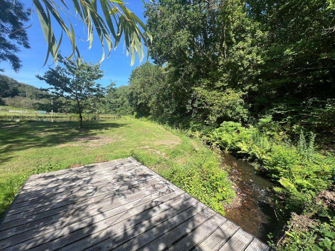 Maison en pierre dans un écrin de nature avec étang et forêt - photo 11