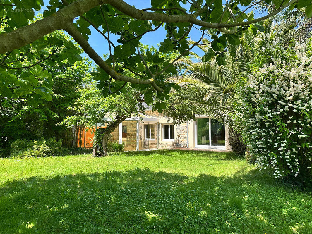 Maison à LANGUEUX