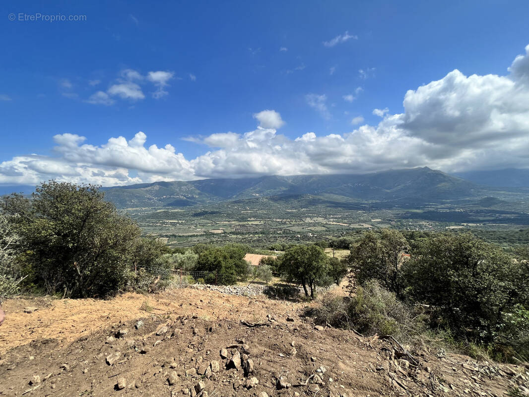 Terrain à MONTICELLO