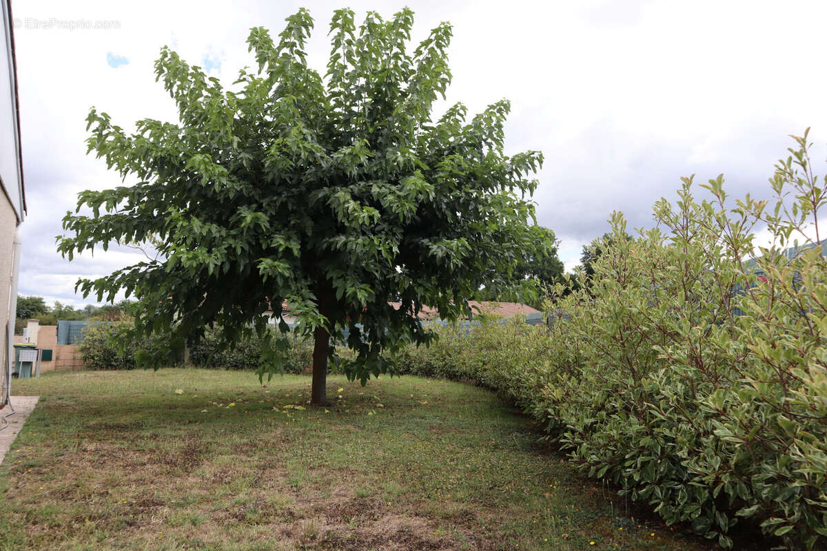 Maison à LE TAILLAN-MEDOC