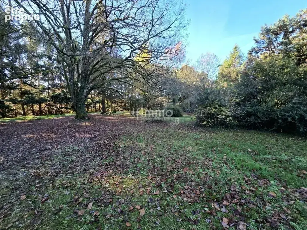  Grande maison familiale – 206 m² – Parcelle 17 457 m² - photo 18