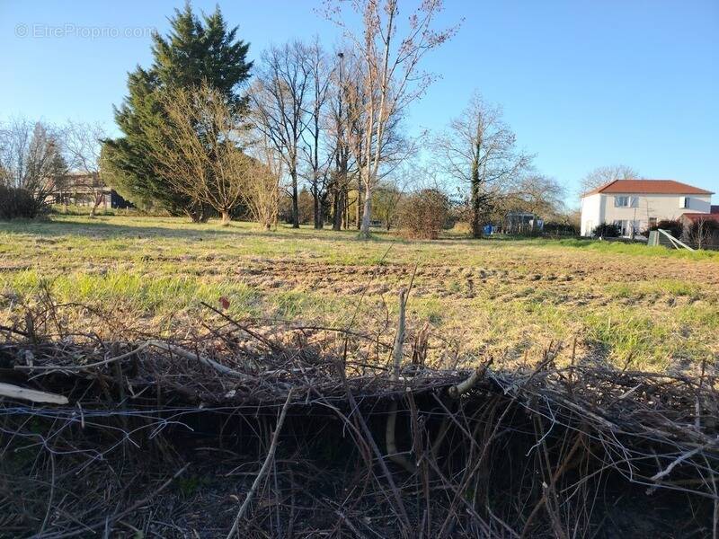 Terrain à CHATELLERAULT