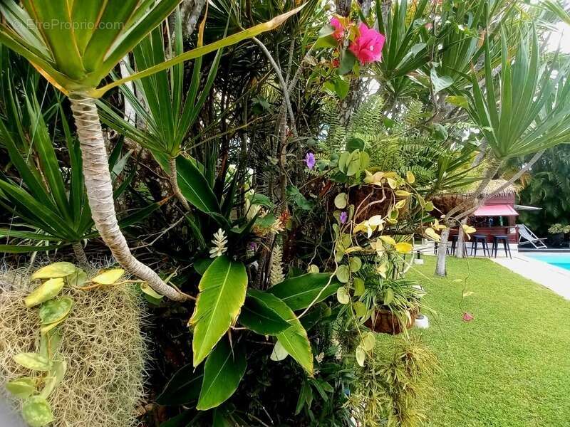 Maison à SAINT-FRANCOIS