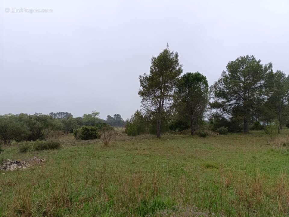 Terrain à VALFLAUNES