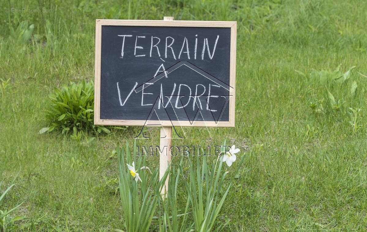 Terrain à SAINTE-GENEVIEVE