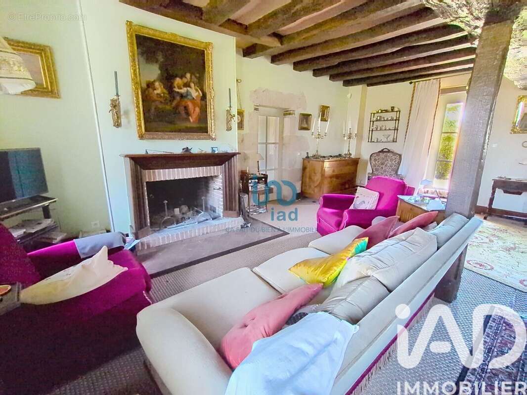 Photo 3 - Maison à OUZOUER-SUR-TREZEE