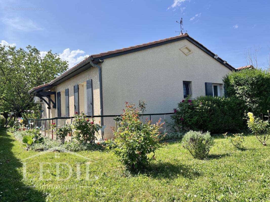 Plain-pied - jardin arboré - garage - photo 3