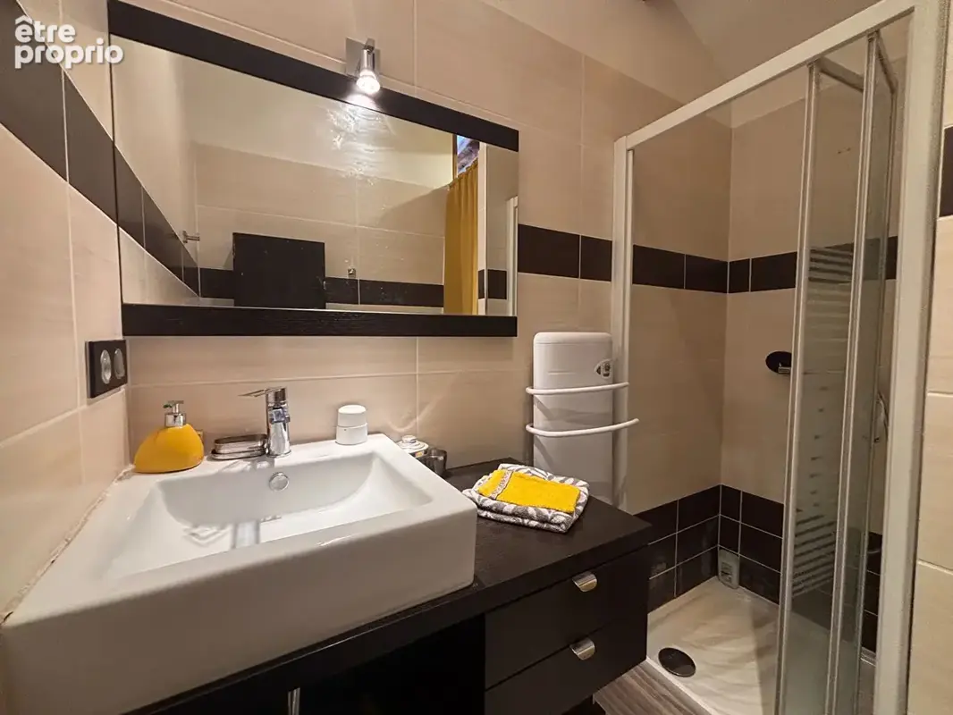 LESCAR QUARTIER TOUZANNE  Maison 7 pièces de 219m² / terrain divisible - photo 7